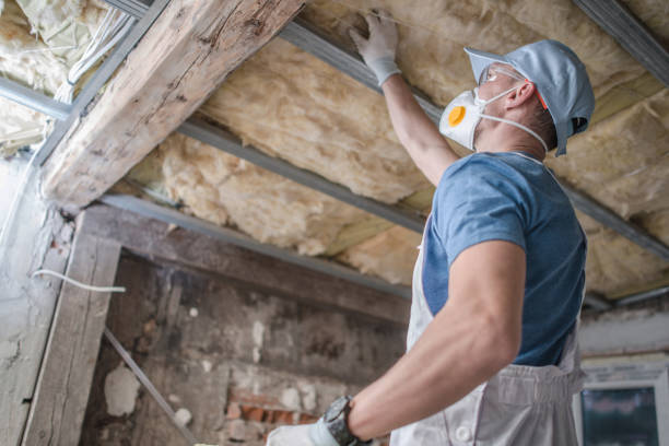 Best Commercial Insulation in Pewee Valley, KY